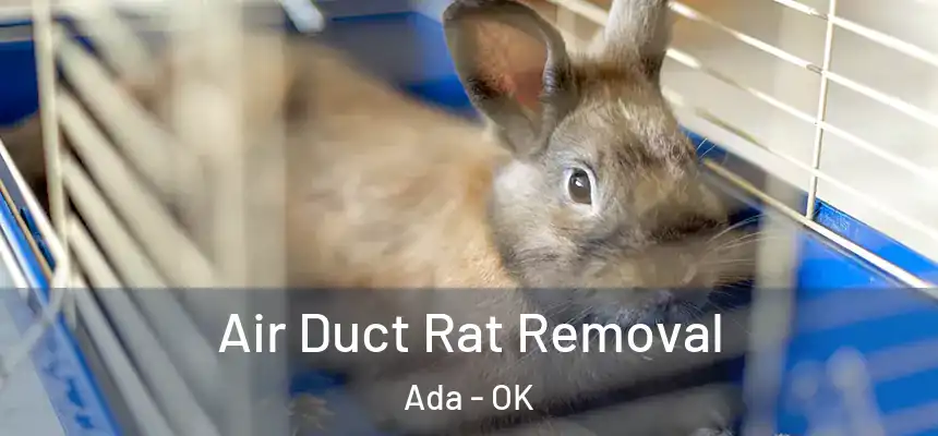  Air Duct Rat Removal Ada - OK