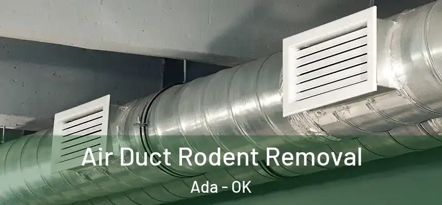  Air Duct Rodent Removal Ada - OK