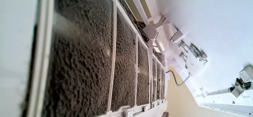 Preventive Air Duct Bacteria Removal in Ada