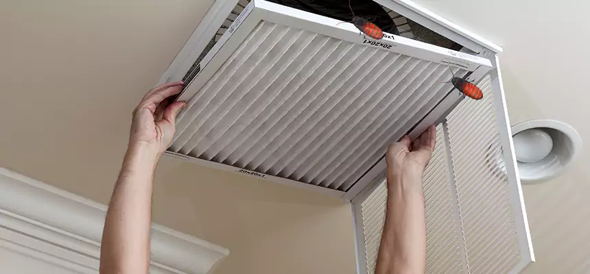 Preventive Cockroach-Proofing for Ducts in Ada