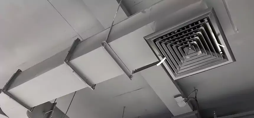 Restorative Allergy Relief Vent Cleaning – Coil, Blower & Housing Detail in Ada