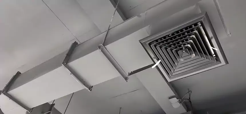 Our Pest Removal From Ducts Services in Ada, OK