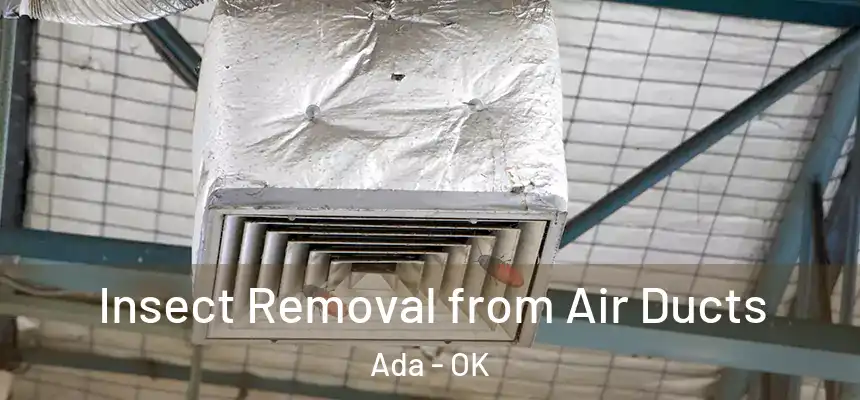  Insect Removal from Air Ducts Ada - OK