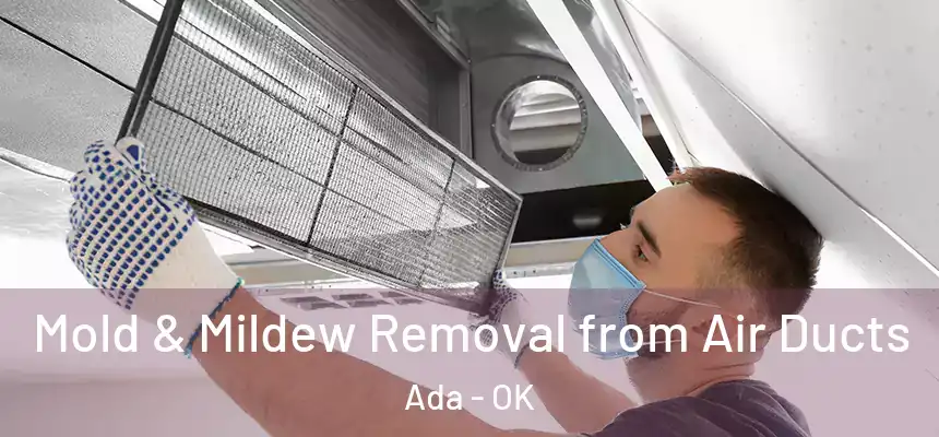  Mold & Mildew Removal from Air Ducts Ada - OK