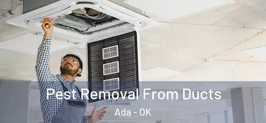  Pest Removal From Ducts Ada - OK