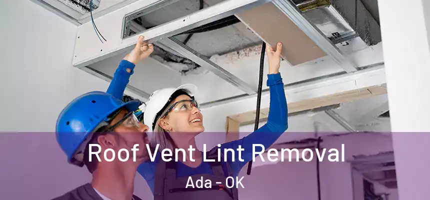  Roof Vent Lint Removal Ada - OK