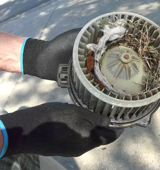 About Air Duct Mice Removal in Ada, OK