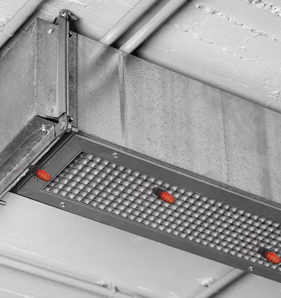 Affordable Insect Removal from Air Ducts in Ada, OK